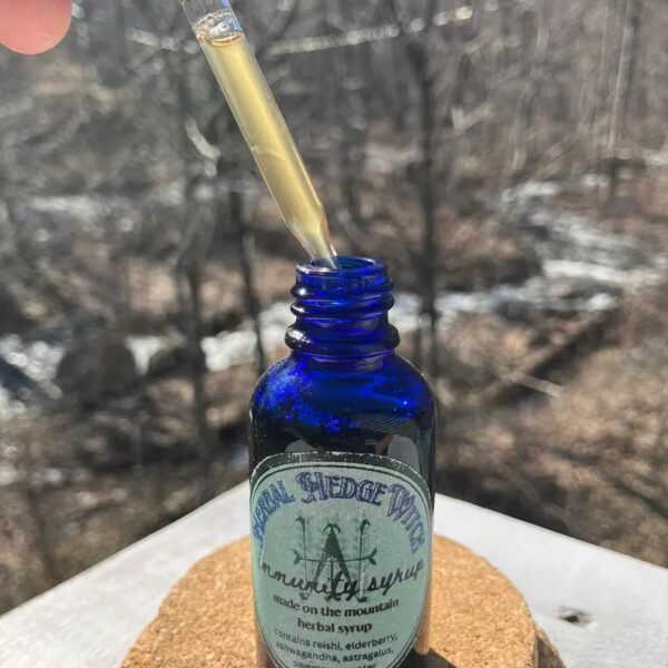 Immunity Syrup (1oz) - Organic / Wildcrafted - Handmade in Appalachia