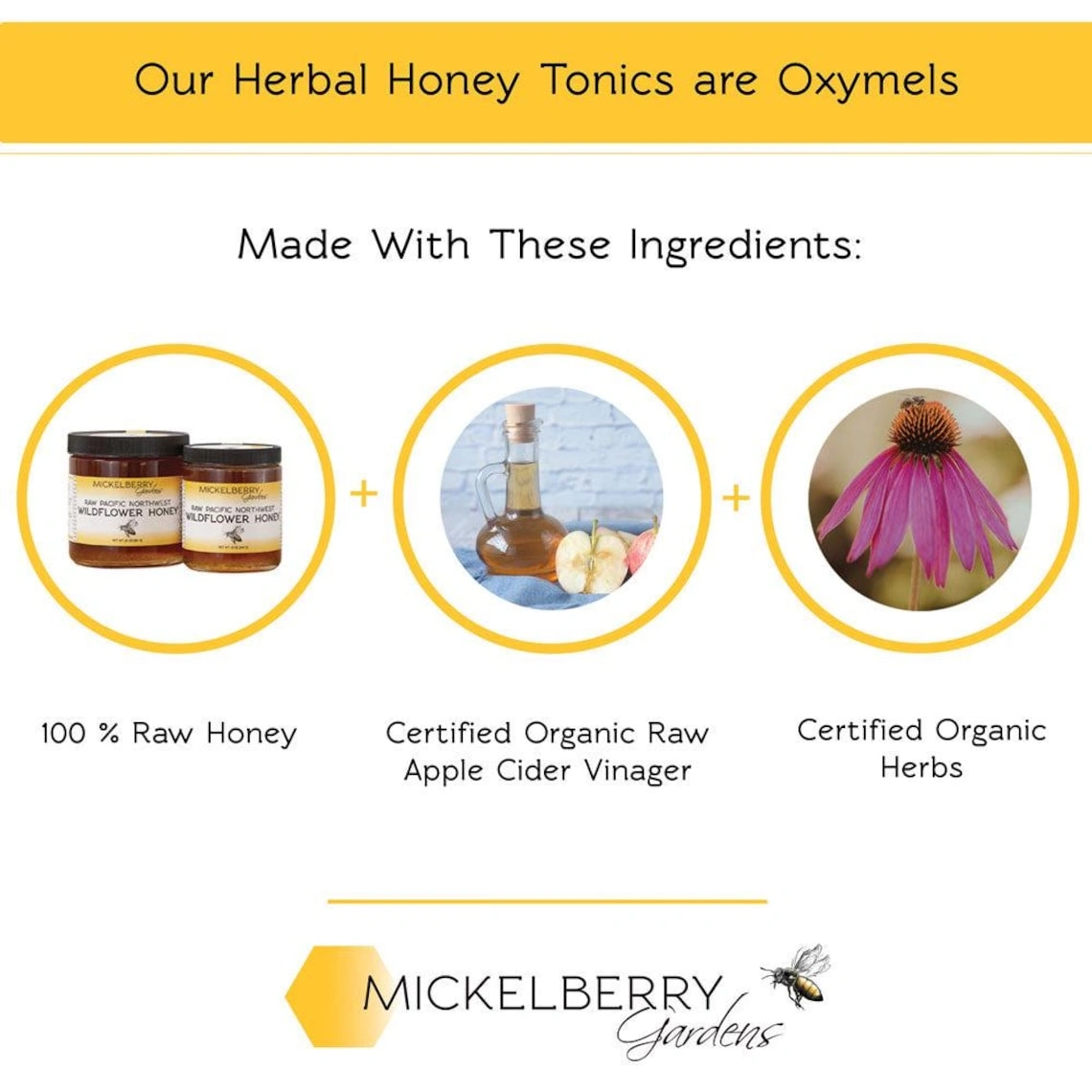 Fire Cider Honey Tonic - Image 2